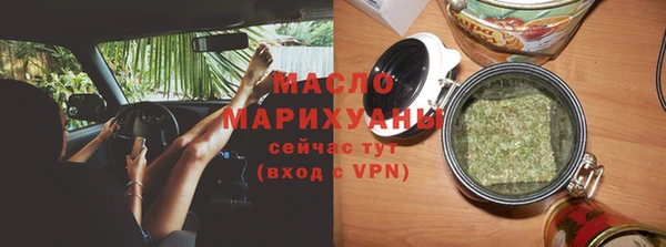 шишки Горно-Алтайск