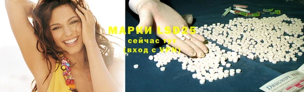 шишки Горно-Алтайск