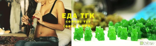 шишки Горно-Алтайск