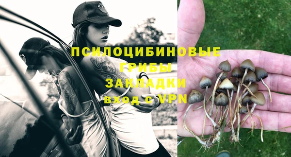 дурь Горняк