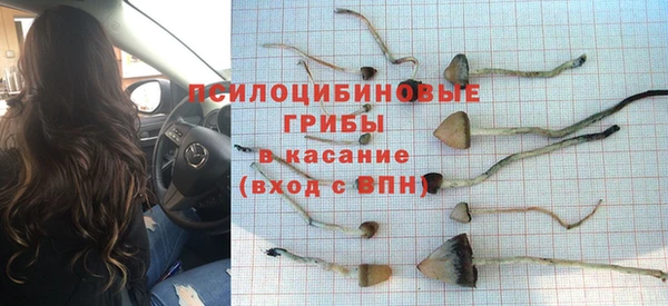 mdma Гусев