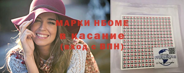 шишки Горно-Алтайск
